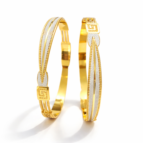 Avantika Bangle (Set of 2)