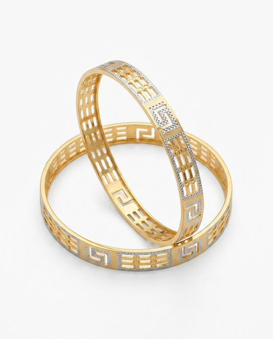 Morni Women's Bangles | 22kt gold plated
